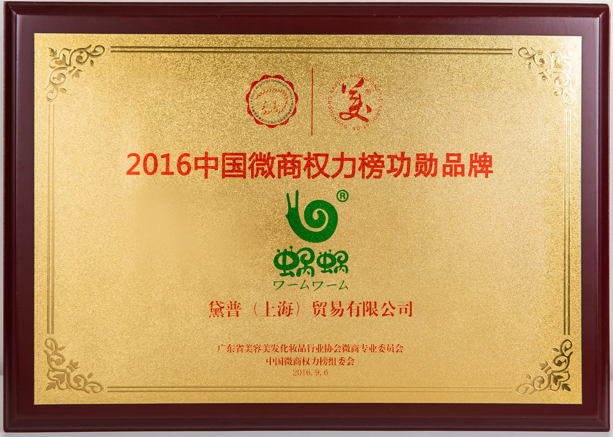 2016中國(guó)微商權(quán)力榜功勛品牌