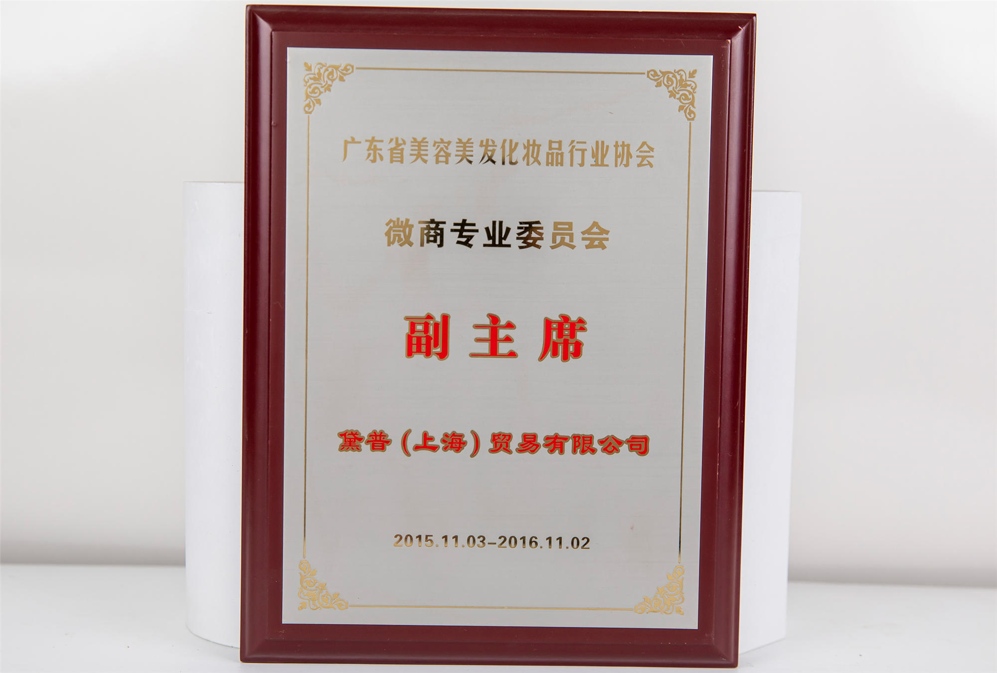 廣東省美容美發(fā)化妝行業(yè)協(xié)會(huì)微商專業(yè)委員會(huì)副主席
