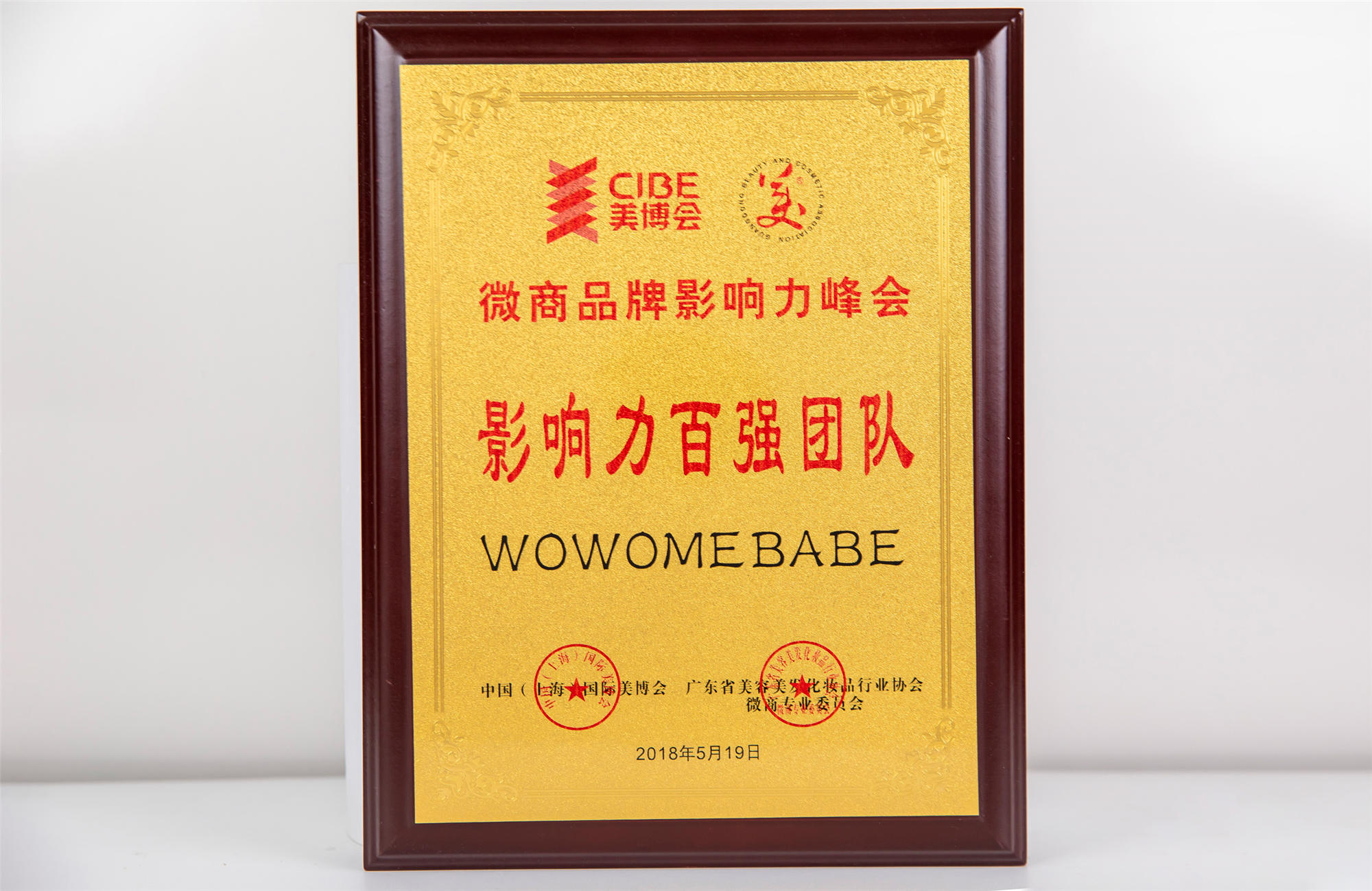 中國(guó)（上海）國(guó)際美博會(huì)影響力百?gòu)?qiáng)團(tuán)隊(duì)